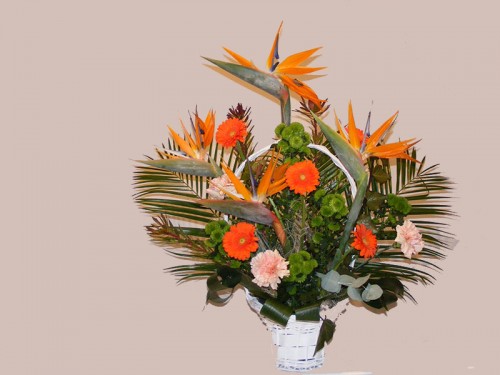 Cos de flori C12